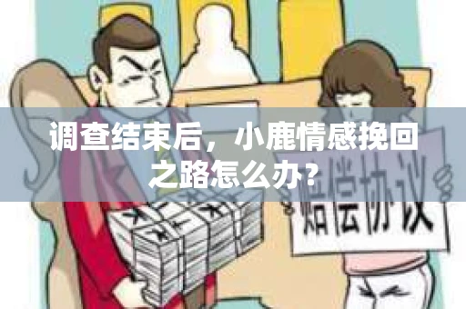 调查结束后，小鹿情感挽回之路怎么办？