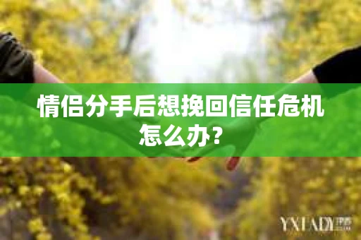 情侣分手后想挽回信任危机怎么办？