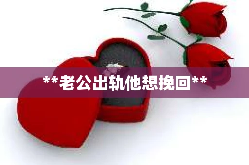 **老公出轨他想挽回**