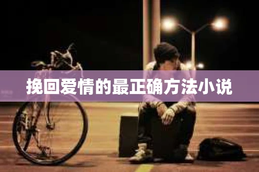 挽回爱情的最正确方法小说