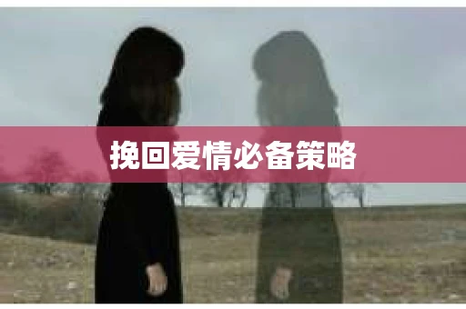 挽回爱情必备策略