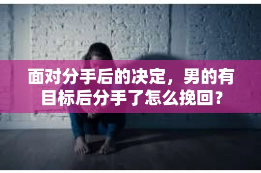 面对分手后的决定,男的有目标后分手了怎么挽回? 面对分手后的决定,男的有目标后分手了怎么挽回?