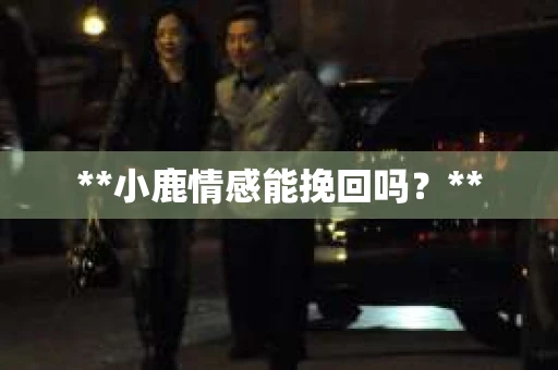 **小鹿情感能挽回吗？**