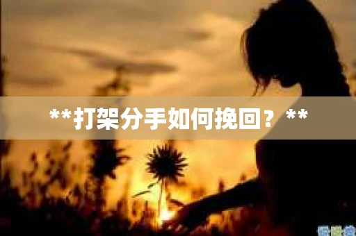 **打架分手如何挽回？**