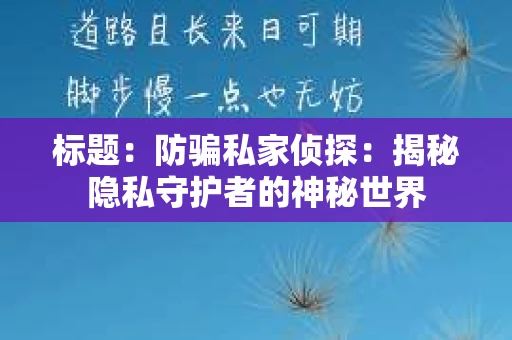 标题:防骗私家侦探:揭秘隐私守护者的神秘世界 标题:防骗私家侦探:揭秘隐私守护者的神秘世界