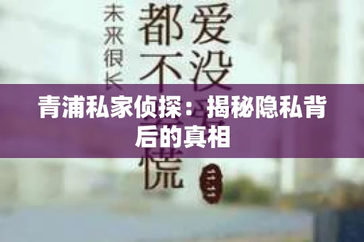 青浦私家侦探：揭秘隐私背后的真相