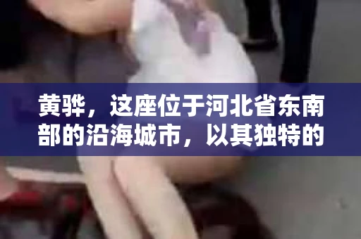 黄骅，这座位于河北省东南部的沿海城市，以其独特的地理位置和丰富的历史文化而闻名。然而，在这座城市中，还有一群人，他们以另一种方式默默守护着社会的公平与正义——私家侦探。今天，我们就来聊聊黄骅的私家侦探，看看他们是如何在这个城市中发挥作用的。