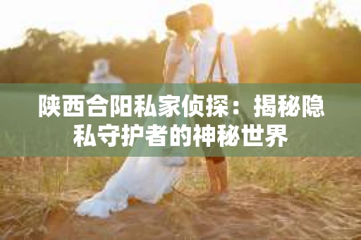 陕西合阳私家侦探：揭秘隐私守护者的神秘世界