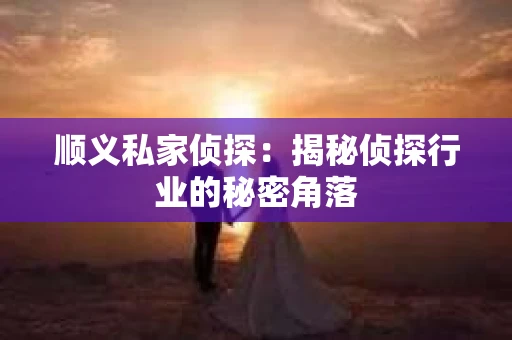 顺义私家侦探：揭秘侦探行业的秘密角落
