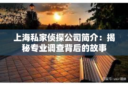 上海私家侦探公司简介:揭秘专业调查背后的故事 上海私家侦探公司简介:揭秘专业调查背后的故事