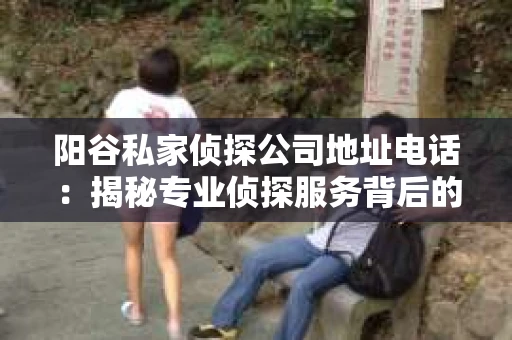 阳谷私家侦探公司地址电话：揭秘专业侦探服务背后的故事