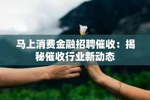 马上消费金融招聘催收：揭秘催收行业新动态