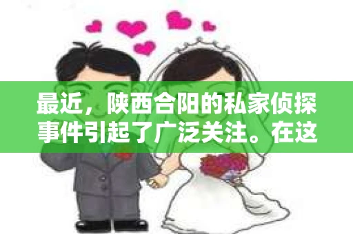 最近，陕西合阳的私家侦探事件引起了广泛关注。在这个信息爆炸的时代，隐私保护显得尤为重要。今天，我们就来聊聊这个事件，看看它背后的一些故事。