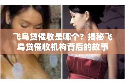 飞鸟贷催收是哪个？揭秘飞鸟贷催收机构背后的故事