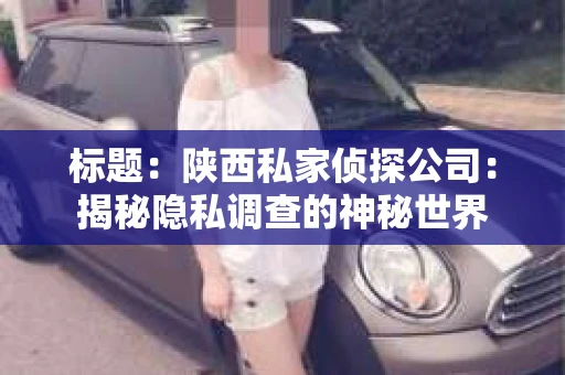 标题：陕西私家侦探公司：揭秘隐私调查的神秘世界