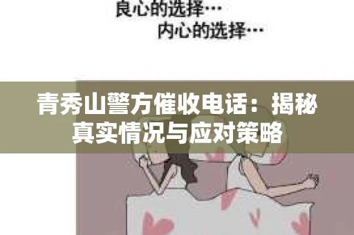 青秀山警方催收电话：揭秘真实情况与应对策略