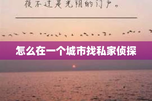 怎么在一个城市找私家侦探