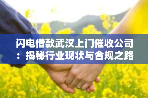 闪电借款武汉上门催收公司：揭秘行业现状与合规之路