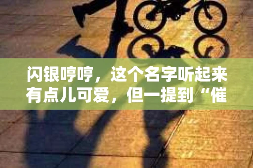 闪银哼哼，这个名字听起来有点儿可爱，但一提到“催收”，气氛就变得严肃起来。今天，我们就来聊聊这个话题，揭开“闪银哼哼催收”的神秘面纱。