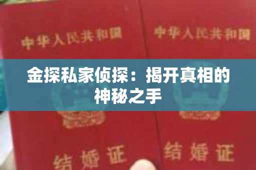 金探私家侦探：揭开真相的神秘之手