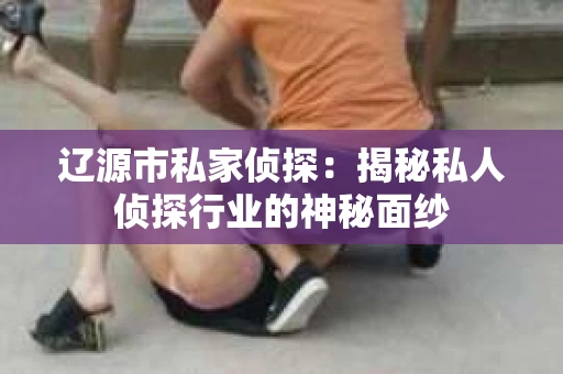 辽源市私家侦探：揭秘私人侦探行业的神秘面纱