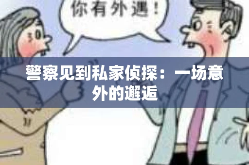 警察见到私家侦探：一场意外的邂逅