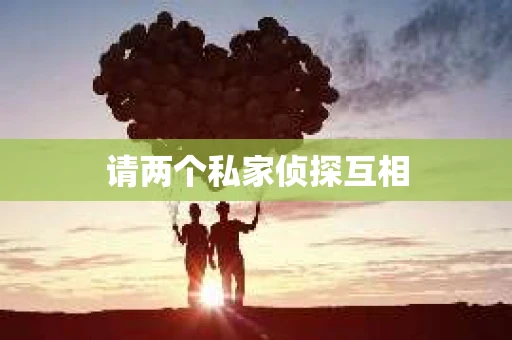 请两个私家侦探互相