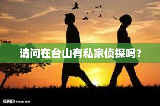 请问在台山有私家侦探吗？