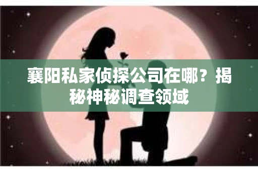 襄阳私家侦探公司在哪？揭秘神秘调查领域