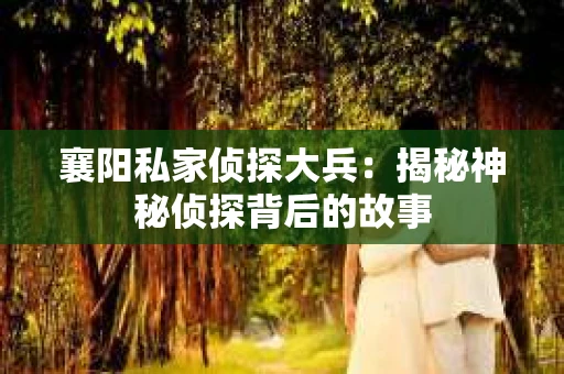 襄阳私家侦探大兵：揭秘神秘侦探背后的故事