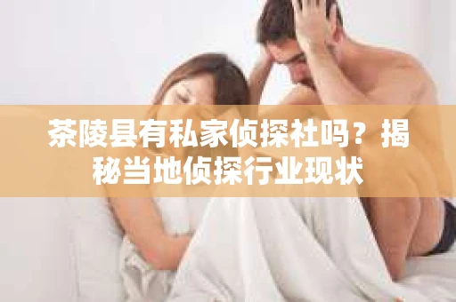 茶陵县有私家侦探社吗？揭秘当地侦探行业现状