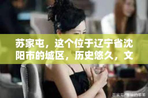 苏家屯，这个位于辽宁省沈阳市的城区，历史悠久，文化底蕴深厚。近年来，随着社会的发展，人们对于私家侦探的需求也逐渐增加。那么，苏家屯有私家侦探吗？今天，我们就来聊聊这个话题。