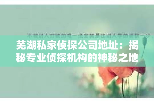 芜湖私家侦探公司地址：揭秘专业侦探机构的神秘之地