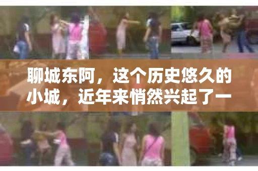 聊城东阿，这个历史悠久的小城，近年来悄然兴起了一股新的服务潮流——私家侦探。今天，我们就来聊聊这个话题，看看在聊城东阿，私家侦探是如何成为人们生活中的一部分的。