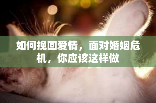 如何挽回爱情，面对婚姻危机，你应该这样做