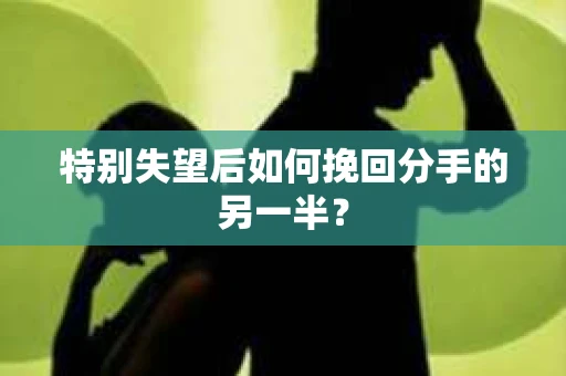 特别失望后如何挽回分手的另一半？