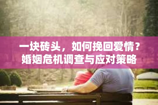 一块砖头，如何挽回爱情？婚姻危机调查与应对策略