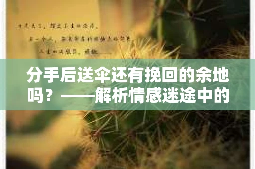 分手后送伞还有挽回的余地吗？——解析情感迷途中的决策