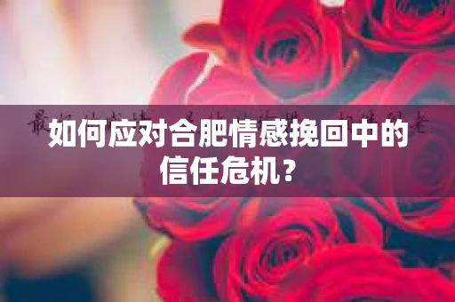 如何应对合肥情感挽回中的信任危机？