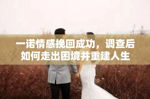 一诺情感挽回成功，调查后如何走出困境并重建人生